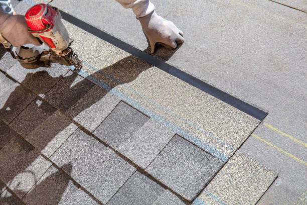Best Metal Roofing Contractor  in La Vernia, TX